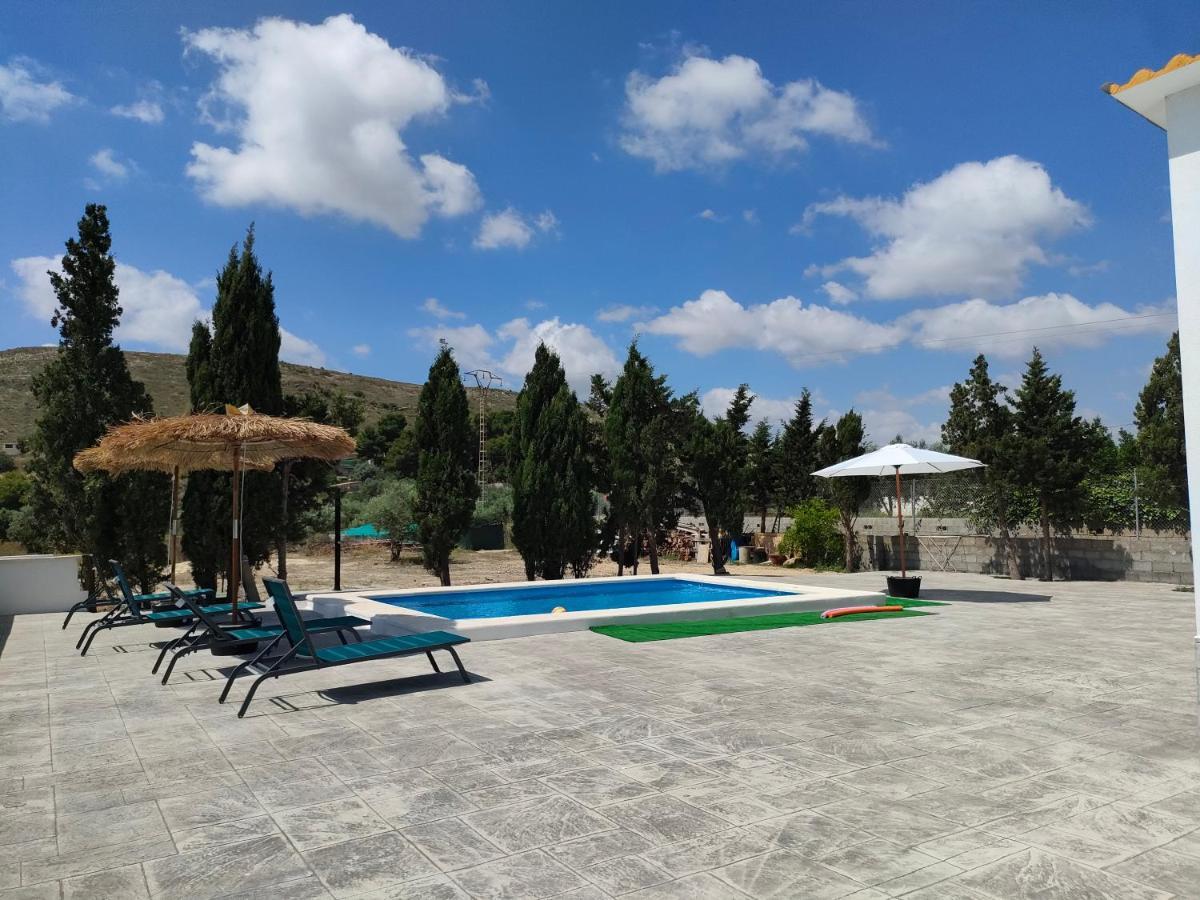 Casa Rural Con Piscina Climatizada Y Barbacoa A 10 Km De Alicante Y Playas, 3000 M2 De Terreno Elche Extérieur photo