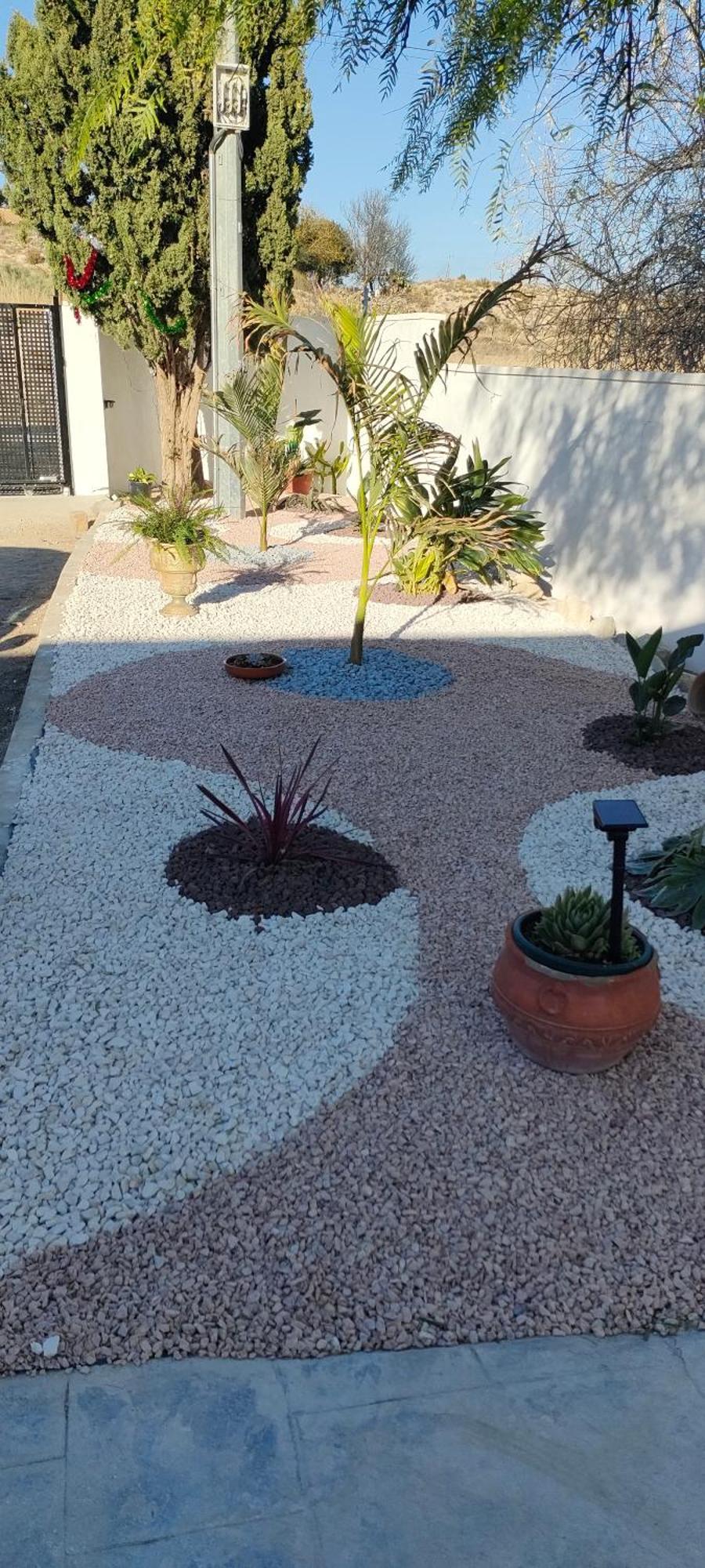 Casa Rural Con Piscina Climatizada Y Barbacoa A 10 Km De Alicante Y Playas, 3000 M2 De Terreno Elche Extérieur photo